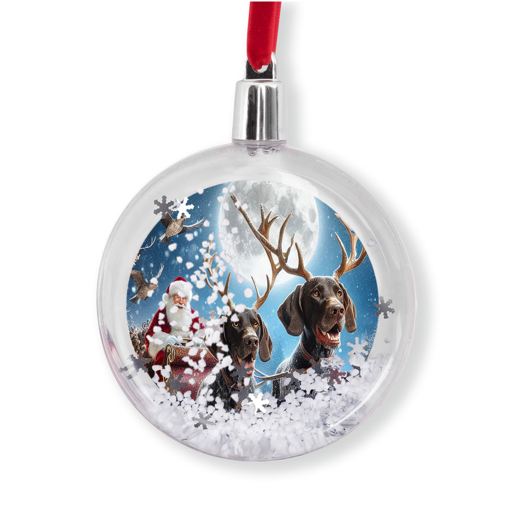 SnowGlobeOrnament-20251210094432947